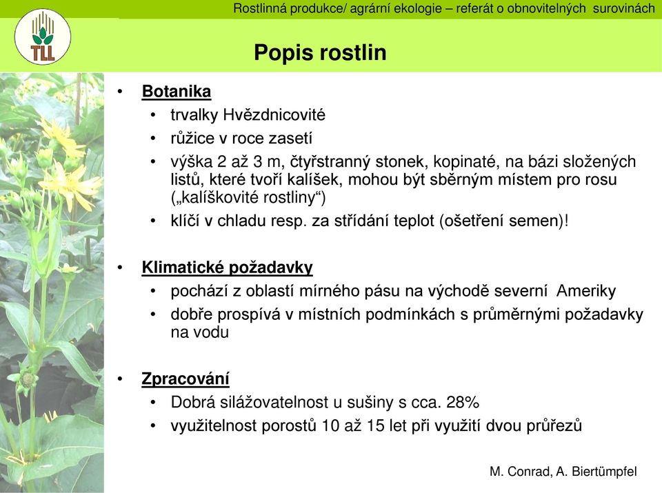 rostliny ) klíčí v chladu resp. za střídání teplot (ošetření semen)!