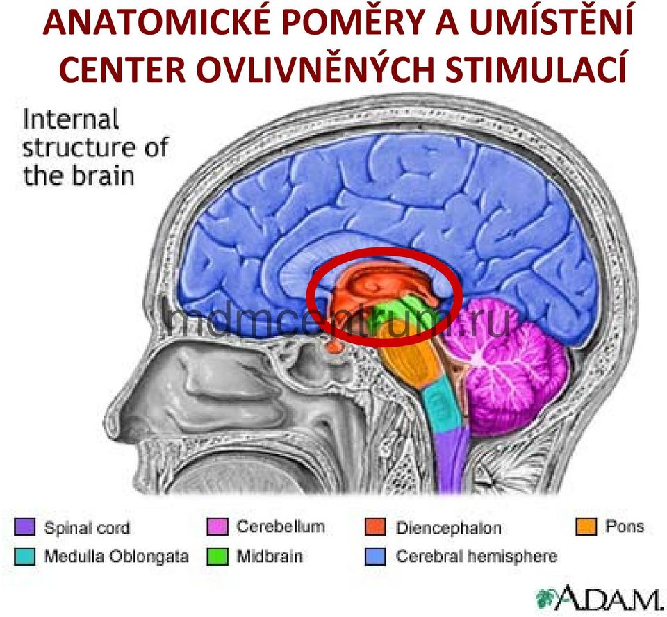 UMÍSTĚNÍ