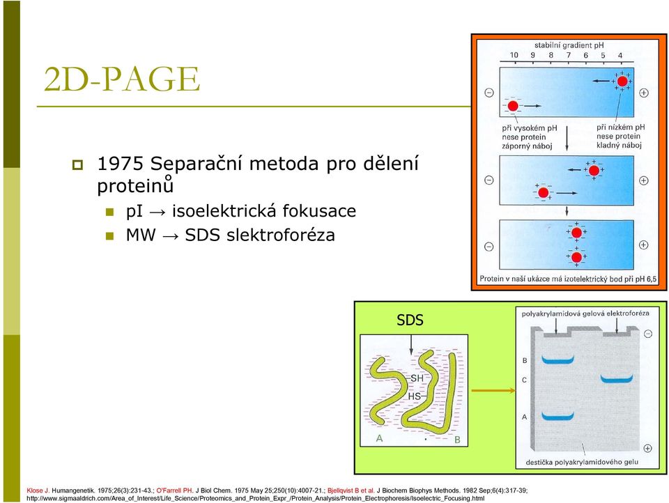 ; Bjellqvist B et al. J Biochem Biophys Methods. 1982 Sep;6(4):317-39; http://www.sigmaaldrich.