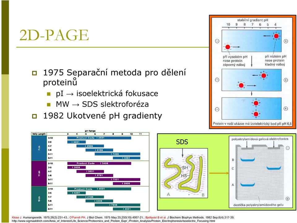 1975 May 25;250(10):4007-21.; Bjellqvist B et al. J Biochem Biophys Methods. 1982 Sep;6(4):317-39; http://www.