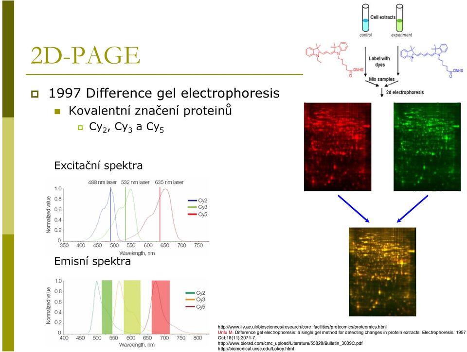 Difference gel electrophoresis: a single gel method for detecting changes in protein extracts. Electrophoresis.