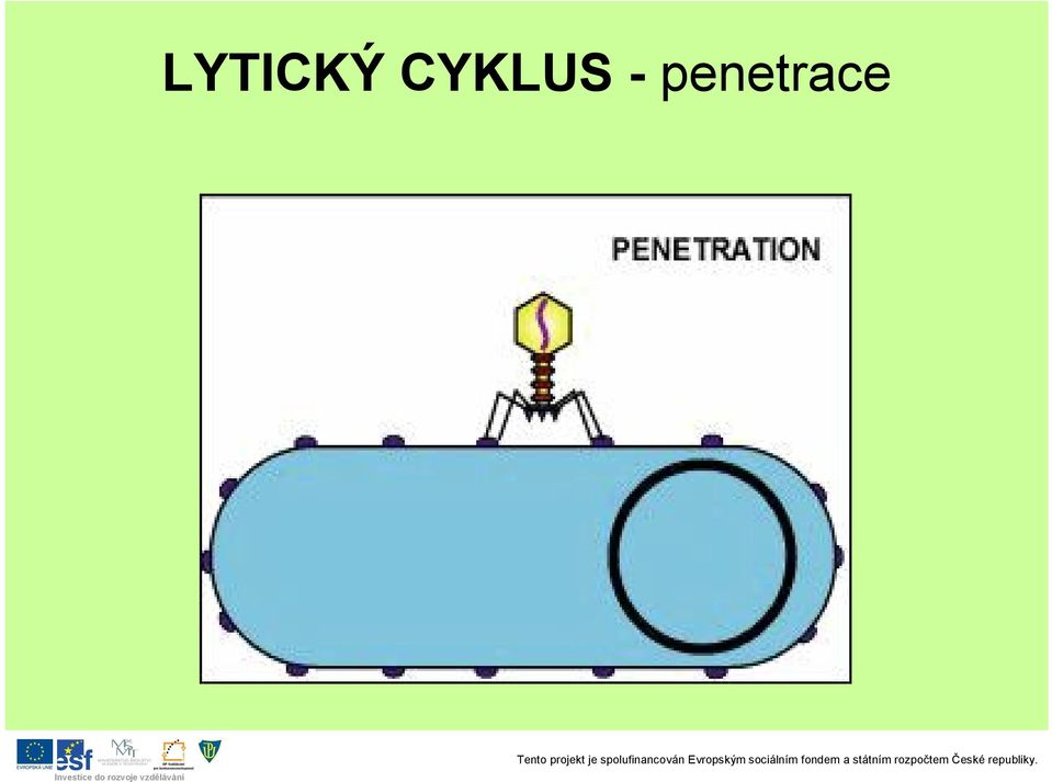 penetrace