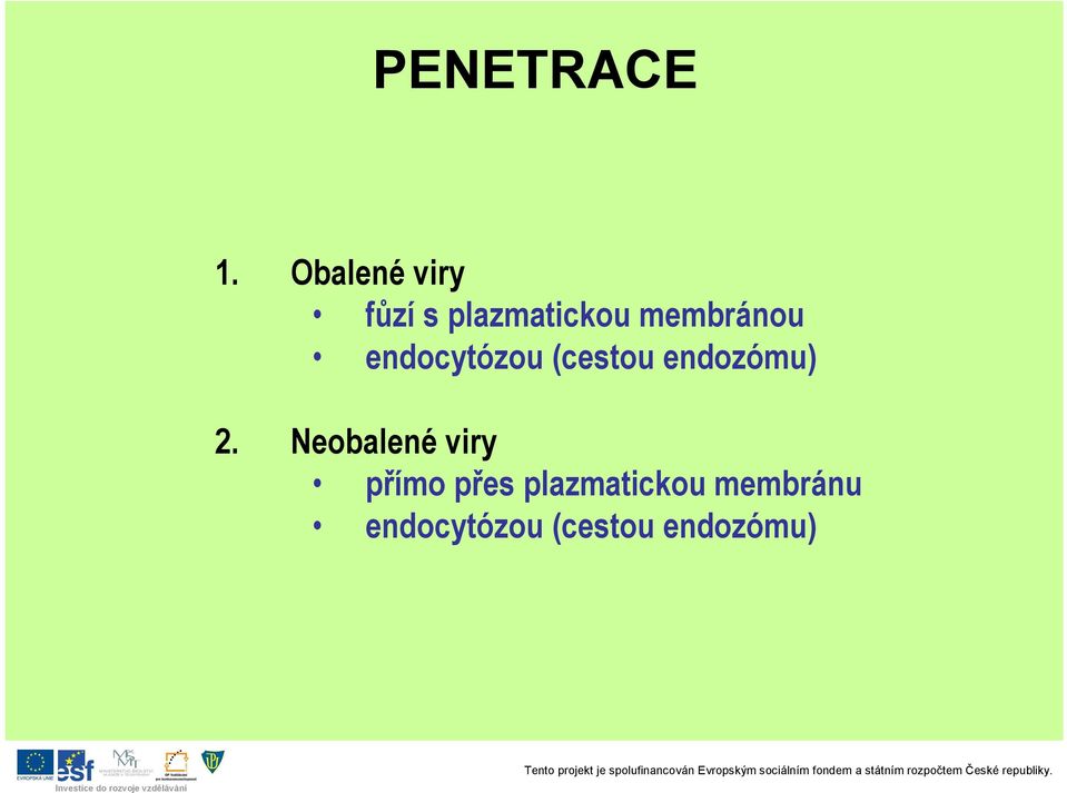 membránou endocytózou (cestou endozómu) 2.