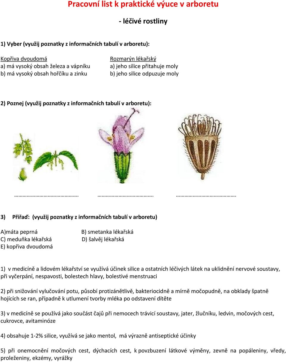 .. 3) Přiřaď: (využij poznatky z informačních tabulí v arboretu) A)máta peprná B) smetanka lékařská C) meduňka lékařská D) šalvěj lékařská E) kopřiva dvoudomá 1) v medicíně a lidovém lékařství se