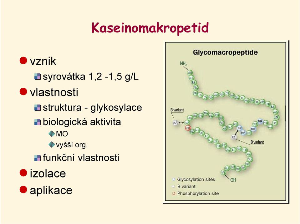 glykosylace biologická aktivita MO