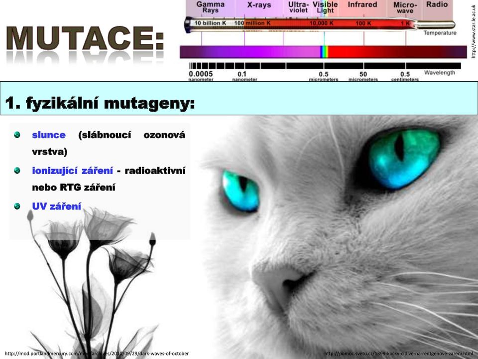 záření - radioaktivní nebo RTG záření UV záření http://mod.