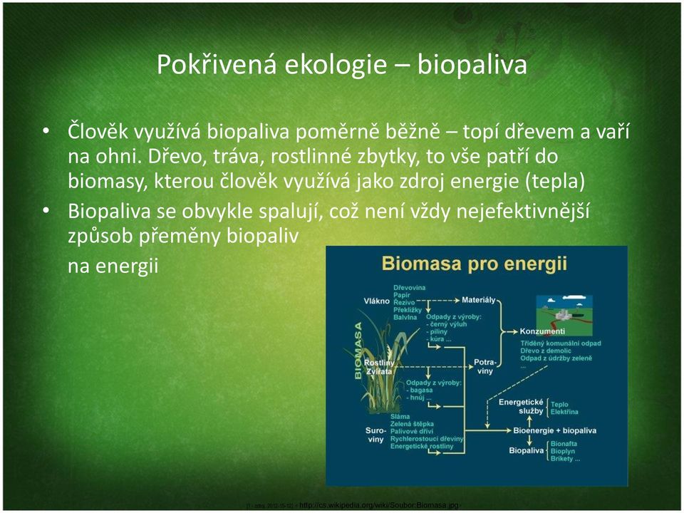 zdroj energie (tepla) Biopaliva se obvykle spalují, což není vždy nejefektivnější