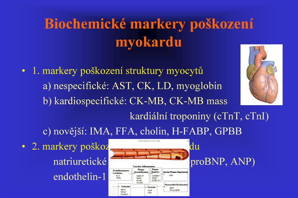 kardiální troponiny (ctnt, ctni) c) novější: IMA, FFA, cholin, H-FABP, GPBB 2