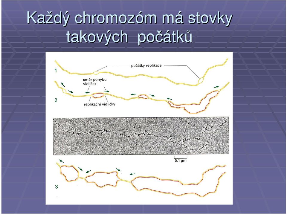 mám stovky