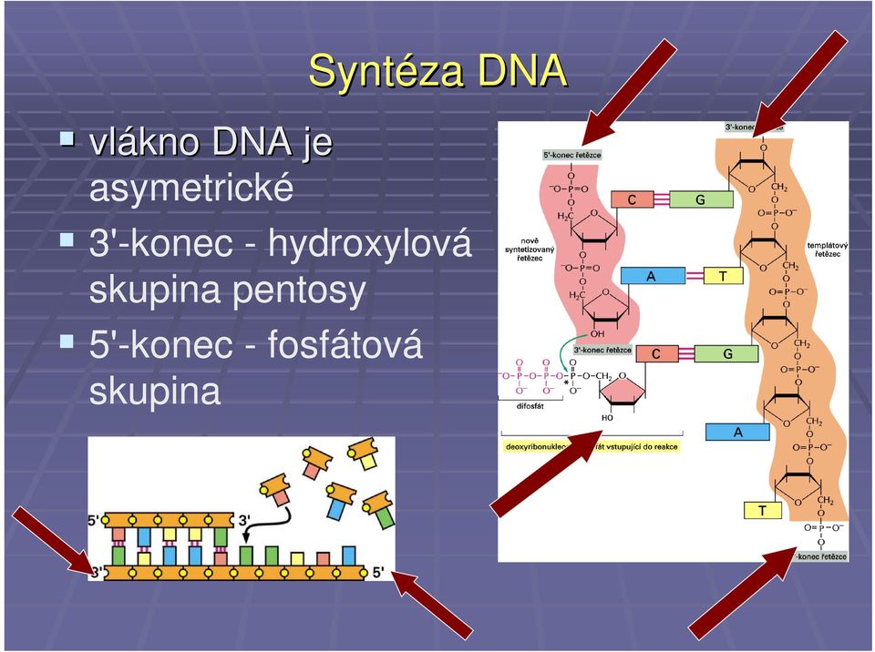 hydroxylová skupina