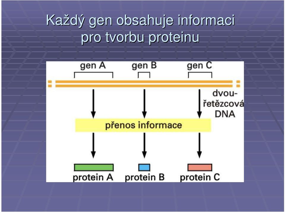 informaci