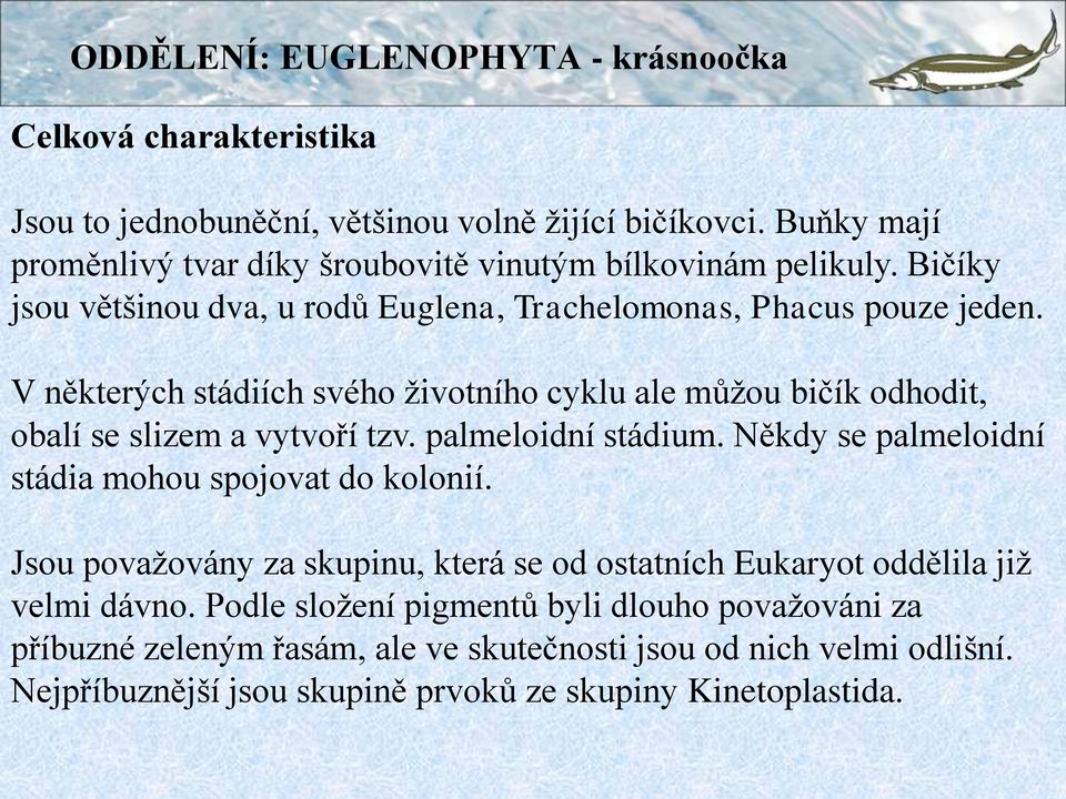 V některých stádiích svého životního cyklu ale můžou bičík odhodit, obalí se slizem a vytvoří tzv. palmeloidní stádium. Někdy se palmeloidní stádia mohou spojovat do kolonií.