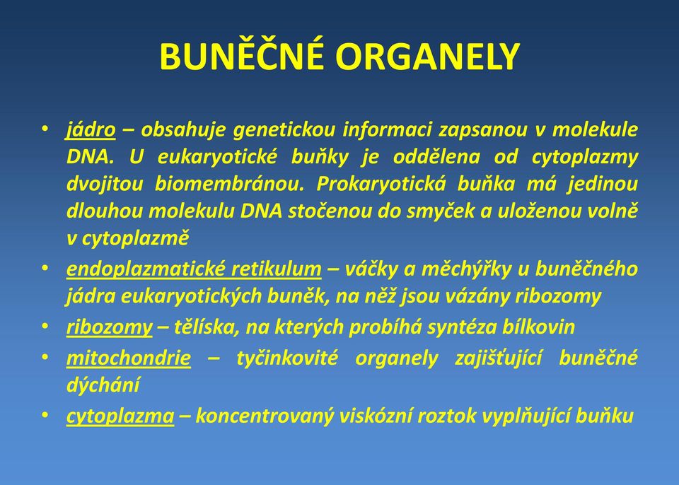 Prokaryotická buňka má jedinou dlouhou molekulu DNA stočenou do smyček a uloženou volně vcytoplazmě endoplazmatické retikulum váčky