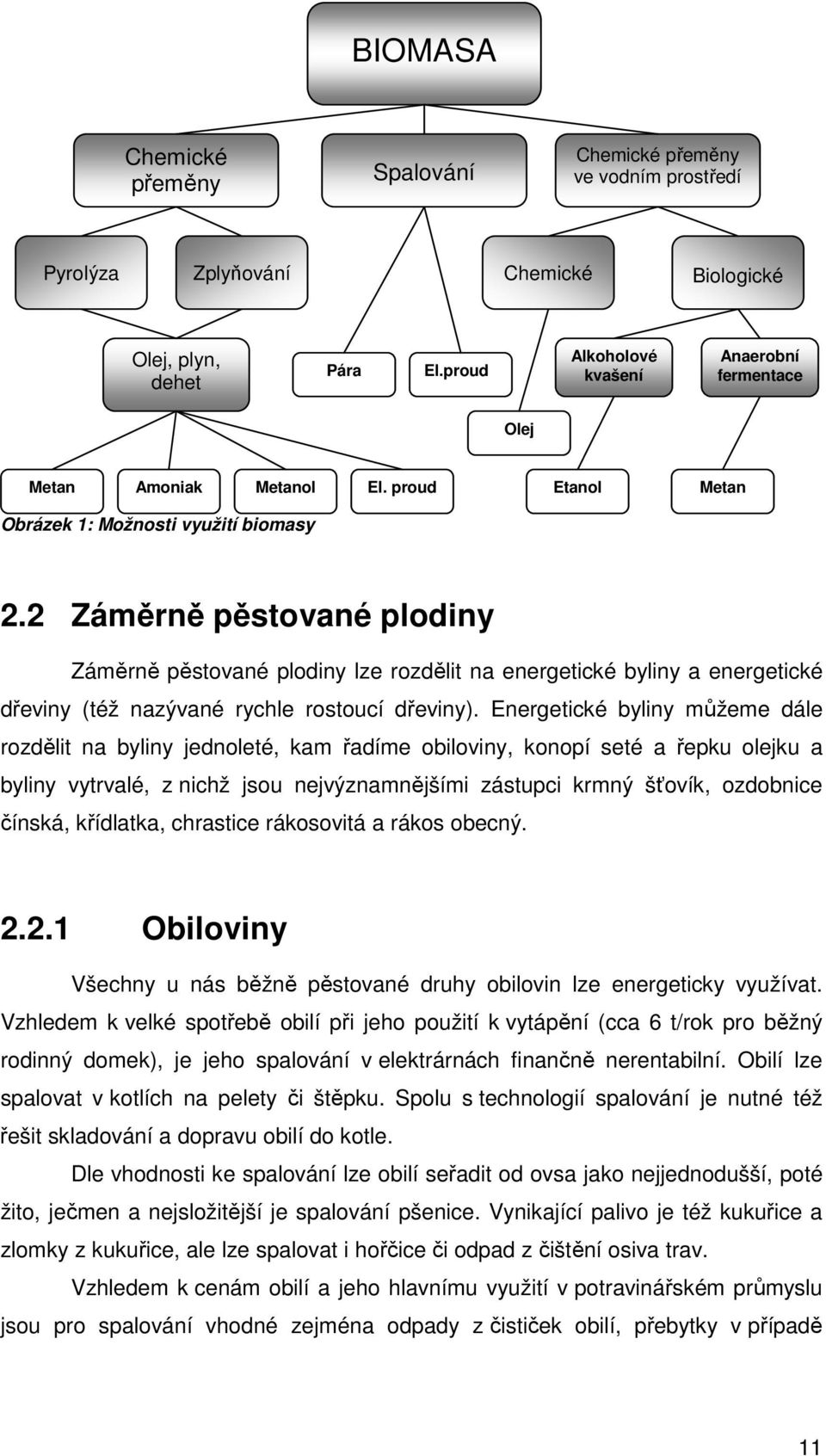 2 Záměrně pěstované plodiny Záměrně pěstované plodiny lze rozdělit na energetické byliny a energetické dřeviny (též nazývané rychle rostoucí dřeviny).
