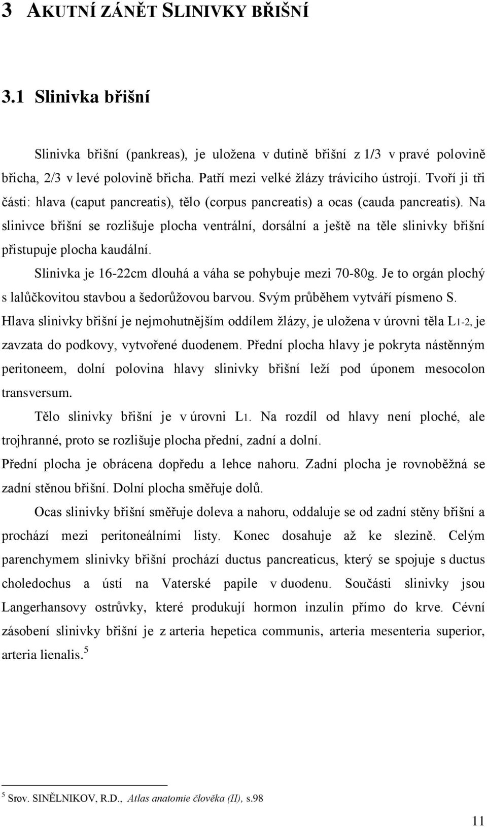 Na slinivce břišní se rozlišuje plocha ventrální, dorsální a ještě na těle slinivky břišní přistupuje plocha kaudální. Slinivka je 16-22cm dlouhá a váha se pohybuje mezi 70-80g.