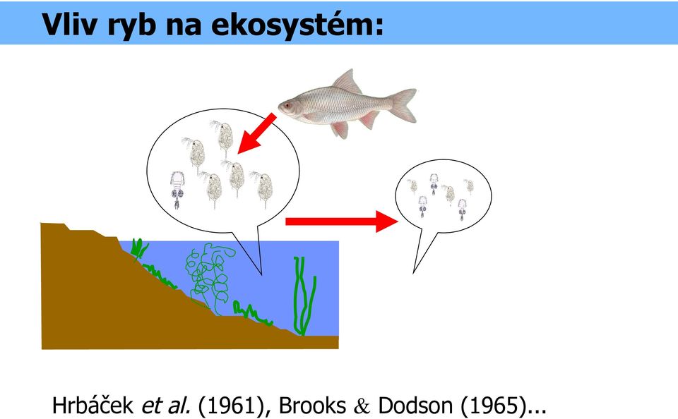 Hrbáček et al.