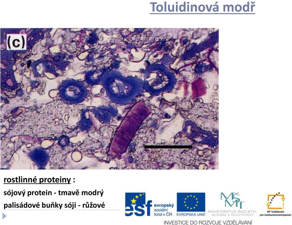 sójový protein - tmavě