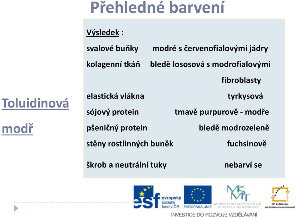 fibroblasty elastická vlákna tyrkysová sójový protein tmavě purpurově - modře