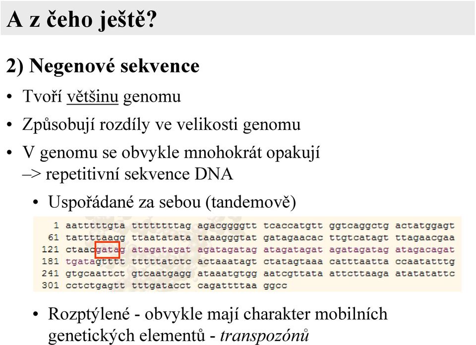 velikosti genomu V genomu se obvykle mnohokrát opakují >