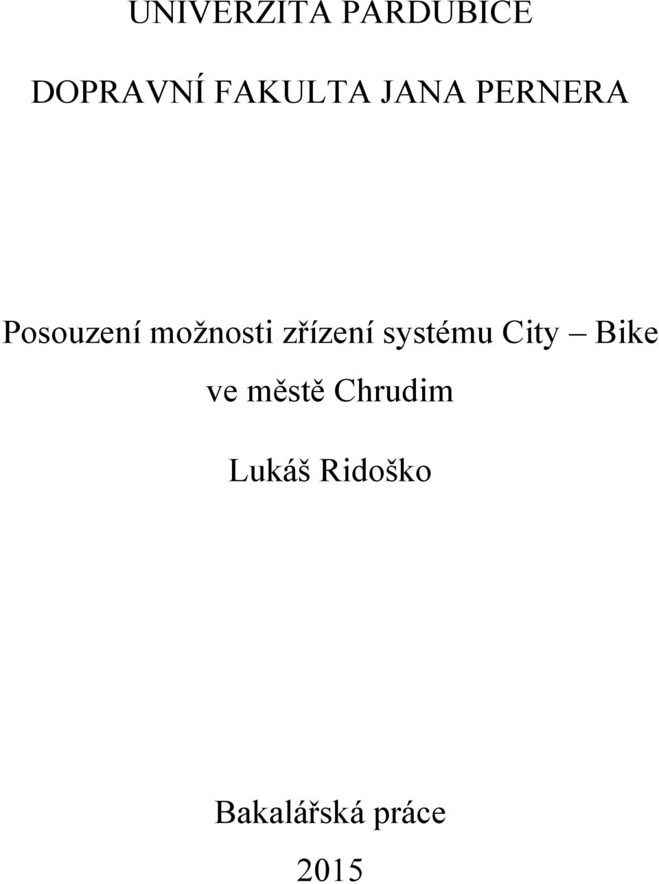 možnosti zřízení systému City Bike