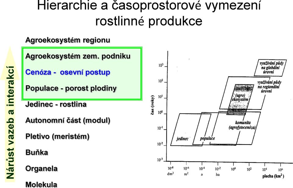 podniku Cenóza - osevní postup Populace - porost plodiny Jedinec