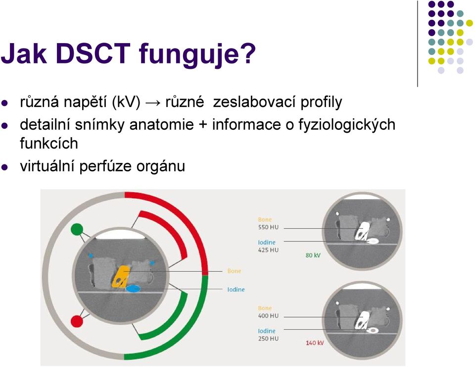 profily detailní snímky anatomie +