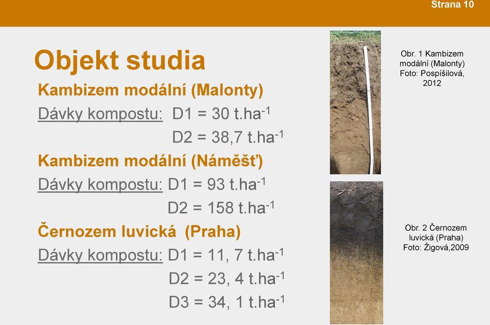 ha -1 Černozem luvická (Praha) Dávky kompostu: D1 = 11, 7 t.ha -1 D2 = 23, 4 t.