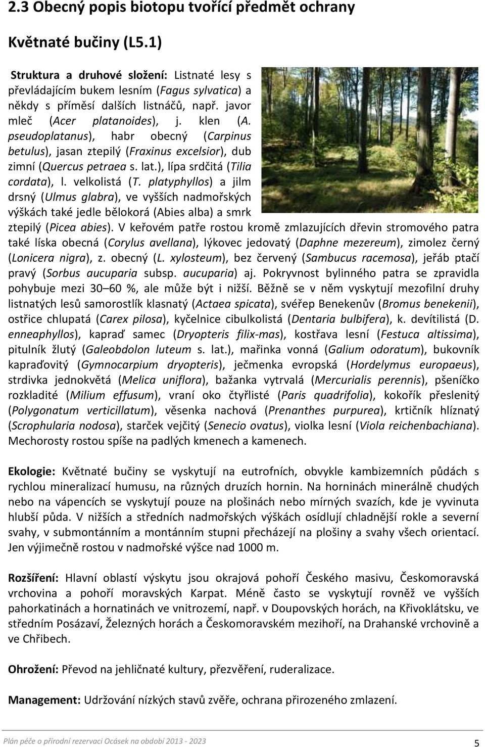 pseudoplatanus), habr obecný (Carpinus betulus), jasan ztepilý (Fraxinus excelsior), dub zimní (Quercus petraea s. lat.), lípa srdčitá (Tilia cordata), l. velkolistá (T.