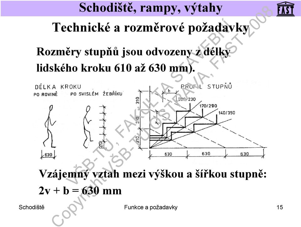 mm). Vzájemný vztah mezi výškou a šířkou