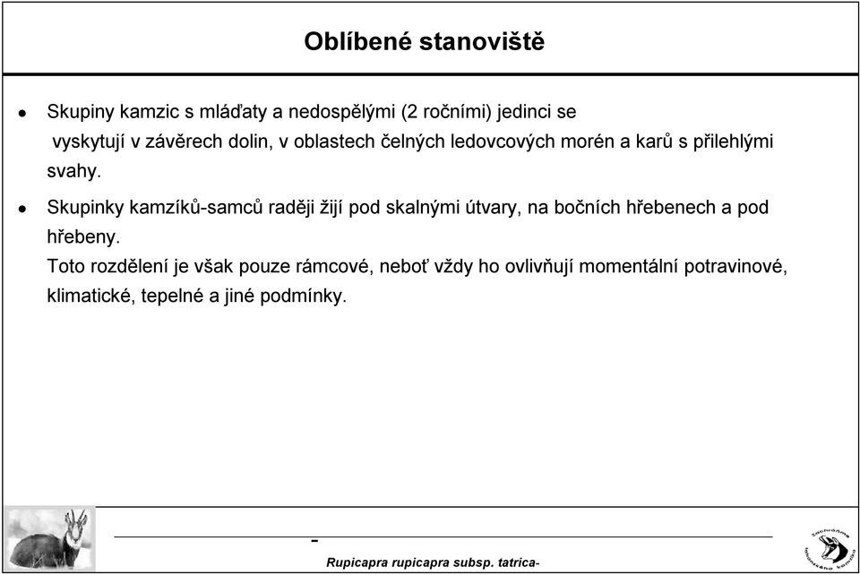 Skupinky kamzíkůsamců raději žijí pod skalnými útvary, na bočních hřebenech a pod hřebeny.