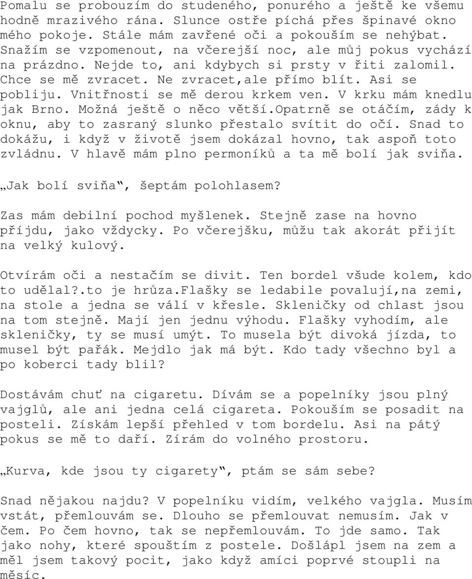 Vnitřnosti se mě derou krkem ven. V krku mám knedlu jak Brno. Možná ještě o něco větší.opatrně se otáčím, zády k oknu, aby to zasraný slunko přestalo svítit do očí.