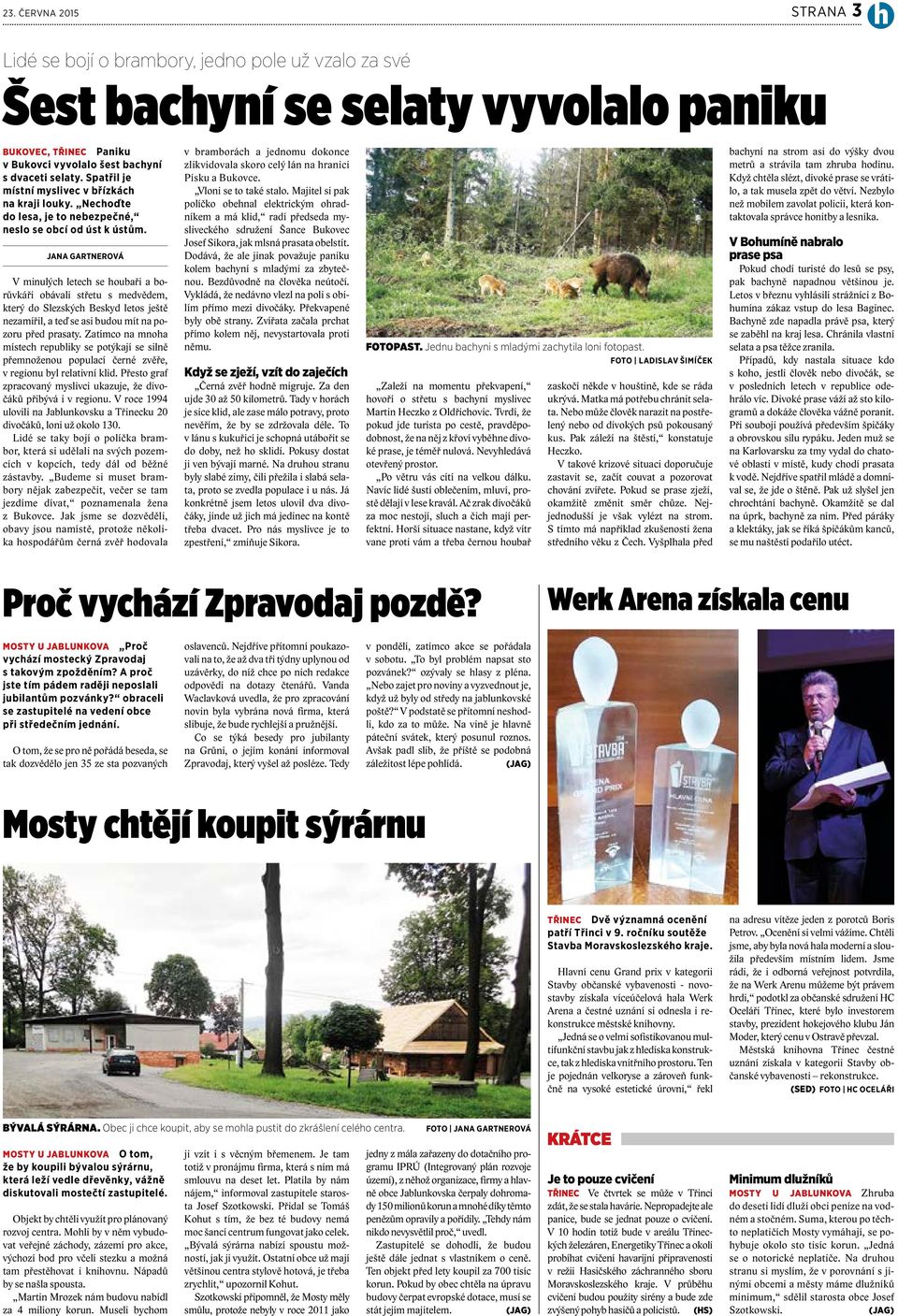 JANA GARTNEROVÁ V minulých letech se houbaři a borůvkáři obávali střetu s medvědem, který do Slezských Beskyd letos ještě nezamířil, a teď se asi budou mít na pozoru před prasaty.