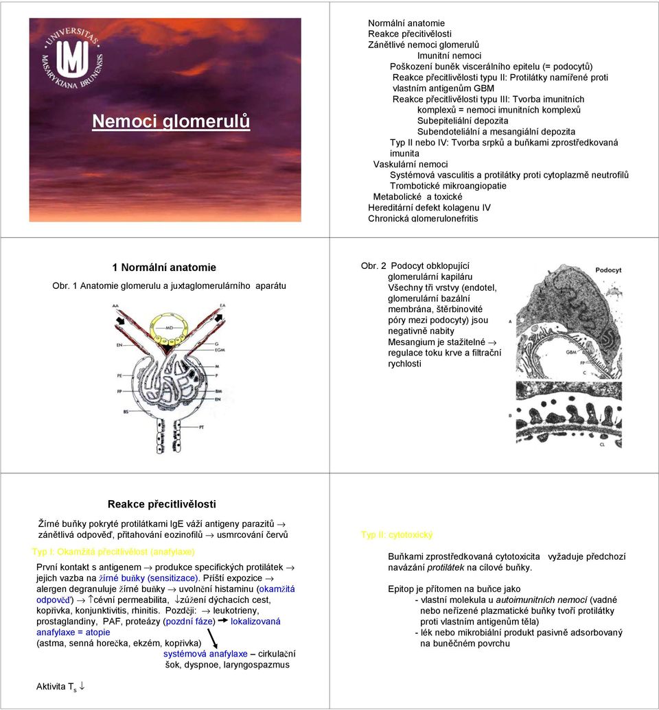 nebo IV: Tvorba srpků a buňkami zprostředkovaná imunita Vaskulární nemoci Systémová vasculitis a protilátky proti cytoplazmě neutrofilů Trombotické mikroangiopatie Metabolické a toxické Hereditární