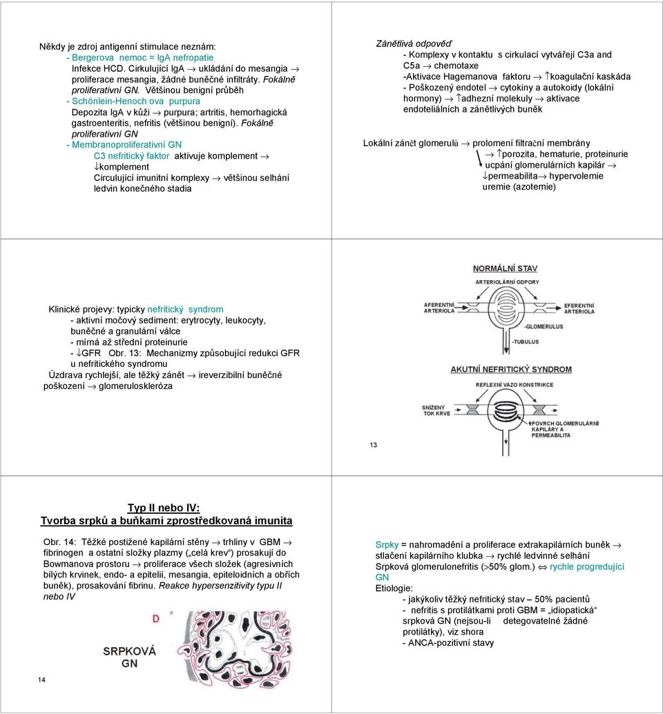Fokálně proliferativní GN - Membranoproliferativní GN C3 nefritický faktor aktivuje komplement komplement Circulující imunitní komplexy většinou selhání ledvin konečného stadia Zánětlivá odpověď -