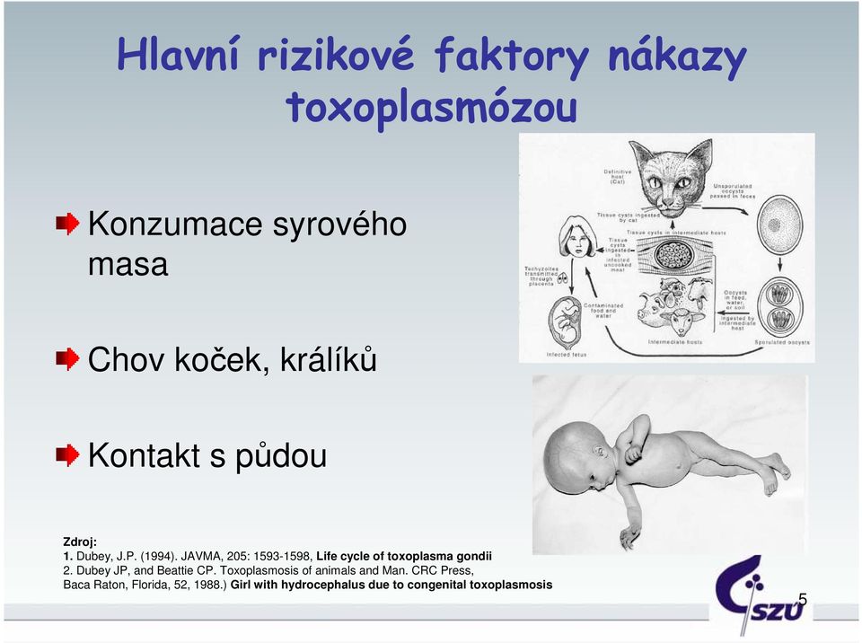 JAVMA, 205: 1593-1598, Life cycle of toxoplasma gondii 2. Dubey JP, and Beattie CP.