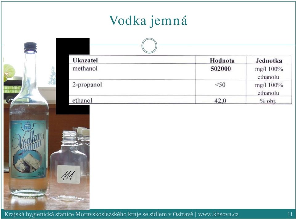 Moravskoslezského kraje
