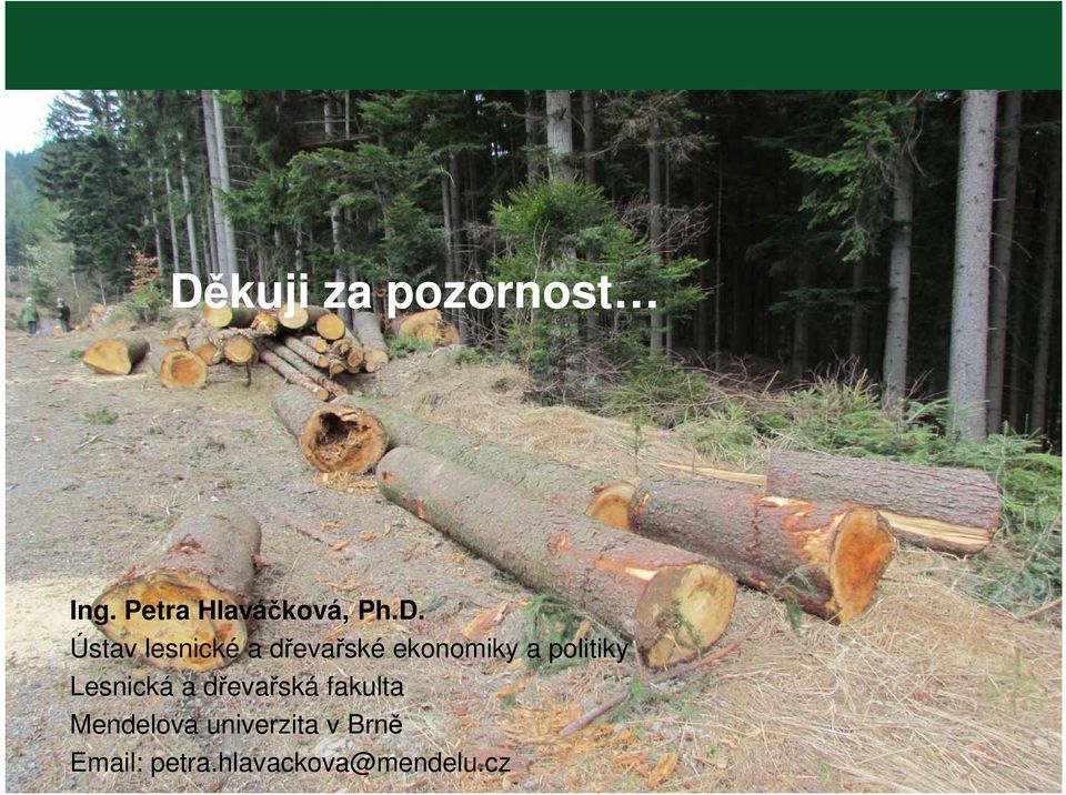 politiky Lesnická a dřevařská fakulta