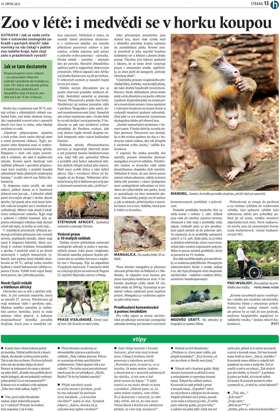 Jak se tam dostanete Doporučujeme cestu vlakem na ostravském Hlavním nádraží nasednete do trolejbusu číslo 101, který vás zaveze přímo k bráně zoo, jízdenka pro dospělého stojí 24 korun, pro děti od
