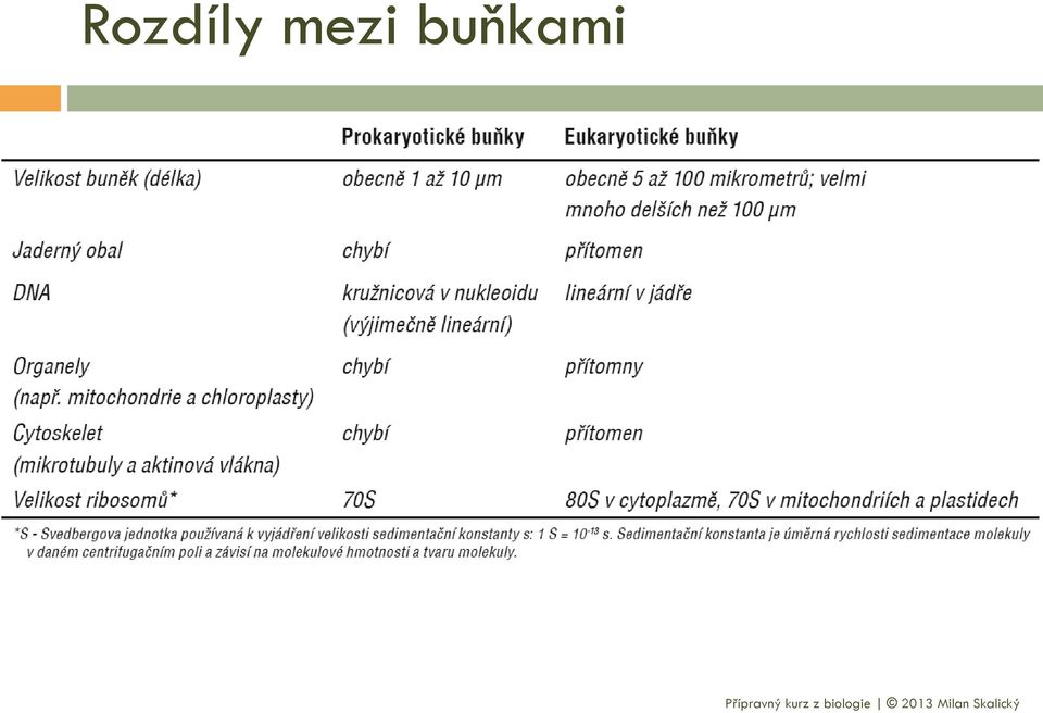 buňkami