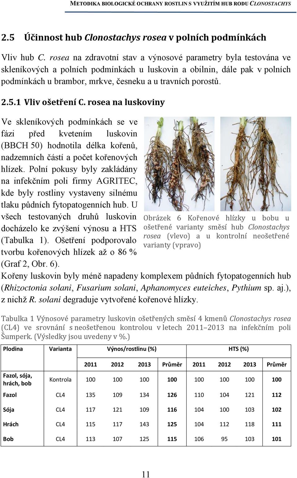5.1 Vliv ošetření C. rosea na luskoviny Ve skleníkových podmínkách se ve fázi před kvetením luskovin (BBCH 50) hodnotila délka kořenů, nadzemních částí a počet kořenových hlízek.