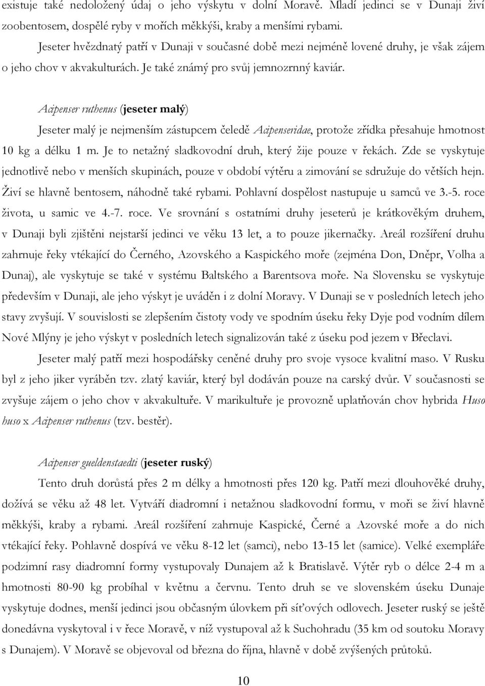 Acipenser ruthenus (jeseter malý) Jeseter malý je nejmenším zástupcem čeledě Acipenseridae, protože zřídka přesahuje hmotnost 10 kg a délku 1 m.