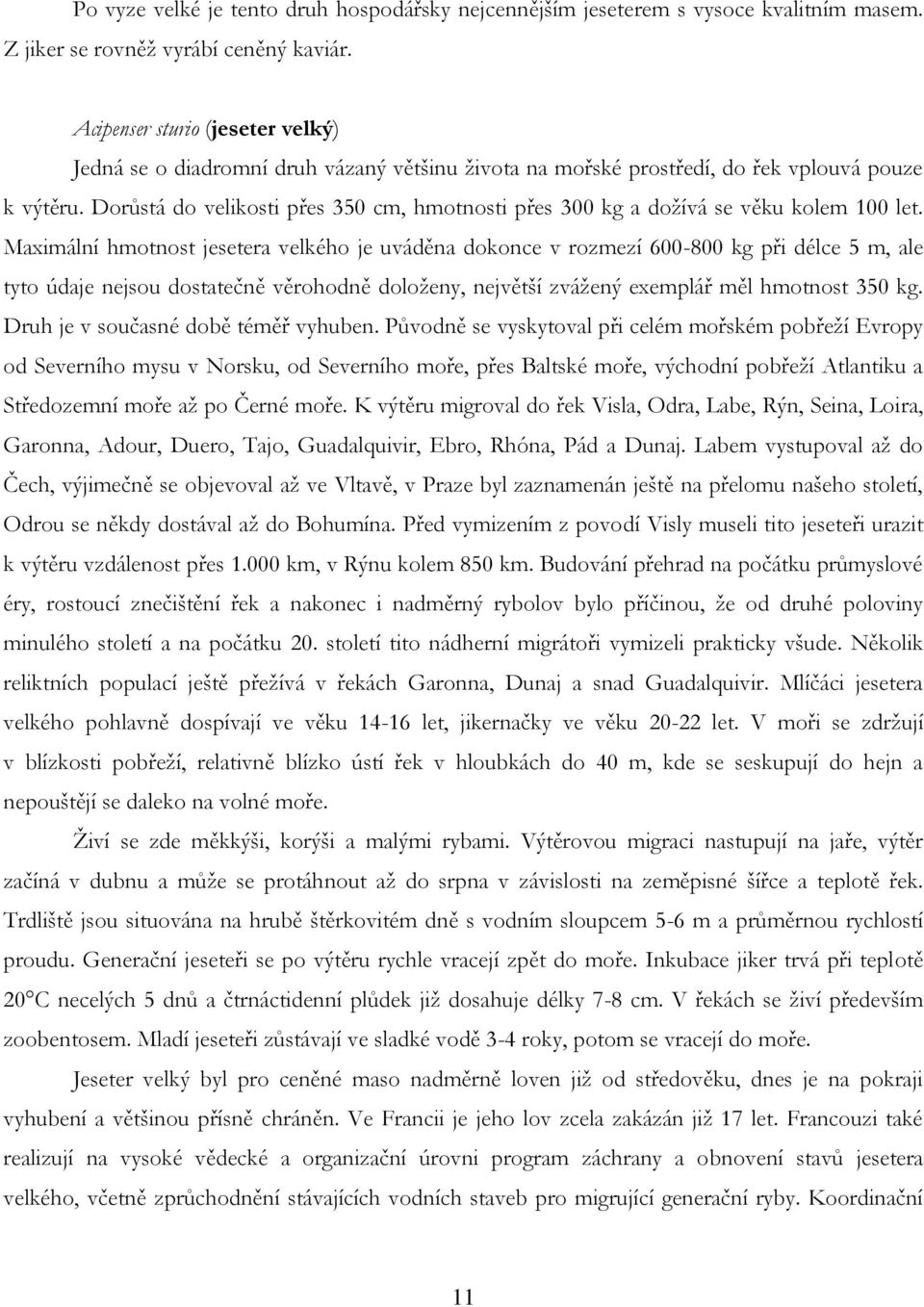 Dorůstá do velikosti přes 350 cm, hmotnosti přes 300 kg a dožívá se věku kolem 100 let.