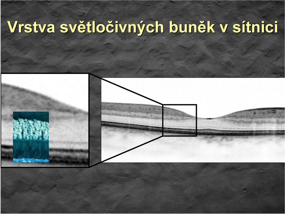 tločivných