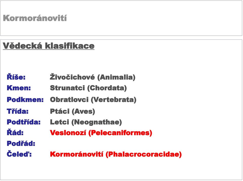 Třída: Ptáci (Aves) Podtřída: Letci (Neognathae) Řád:
