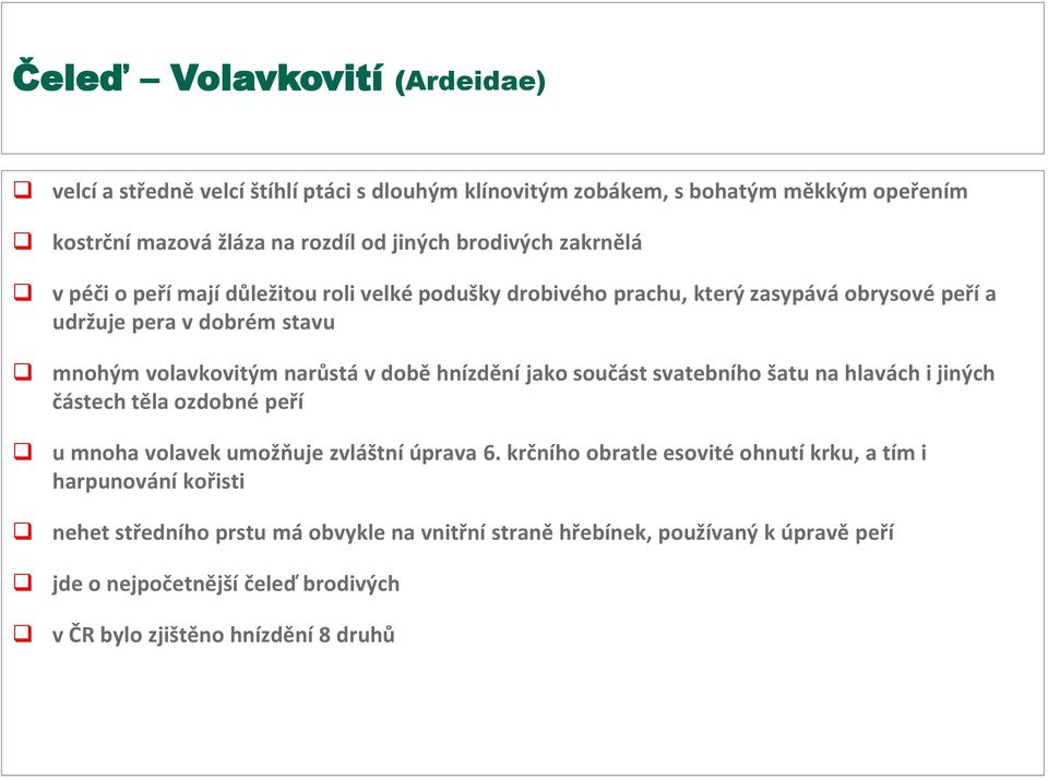 hnízdění jako součást svatebního šatu na hlavách i jiných částech těla ozdobné peří u mnoha volavek umožňuje zvláštní úprava 6.