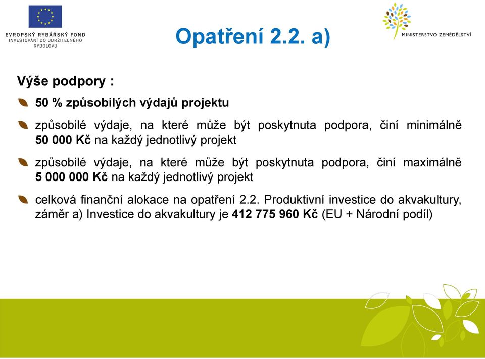 činí minimálně 50 000 Kč na každý jednotlivý projekt způsobilé výdaje, na které může být poskytnuta podpora,