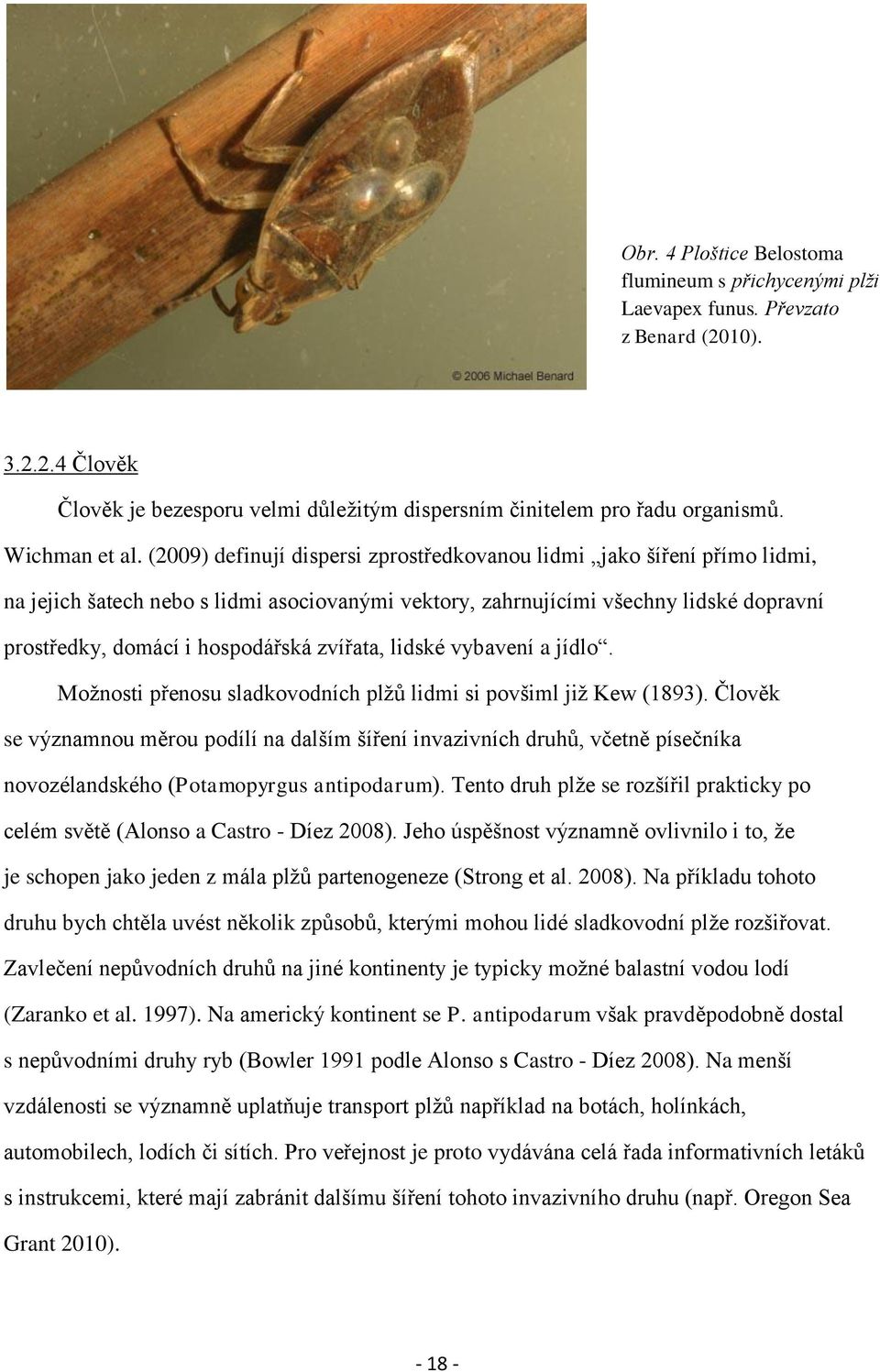 (2009) definují dispersi zprostředkovanou lidmi jako šíření přímo lidmi, na jejich šatech nebo s lidmi asociovanými vektory, zahrnujícími všechny lidské dopravní prostředky, domácí i hospodářská