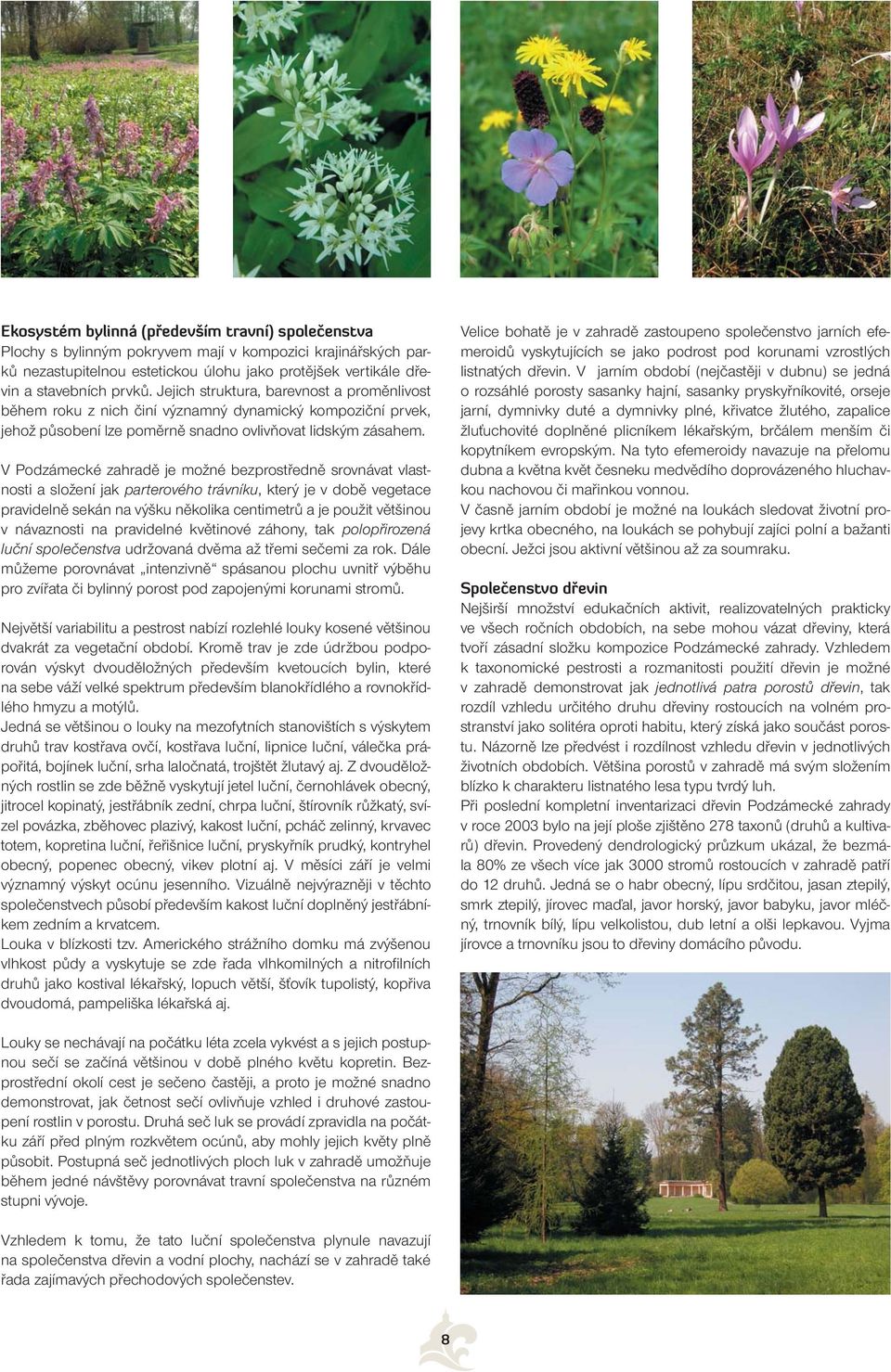 V Podzámecké zahradě je možné bezprostředně srovnávat vlastnosti a složení jak parterového trávníku, který je v době vegetace pravidelně sekán na výšku několika centimetrů a je použit většinou v
