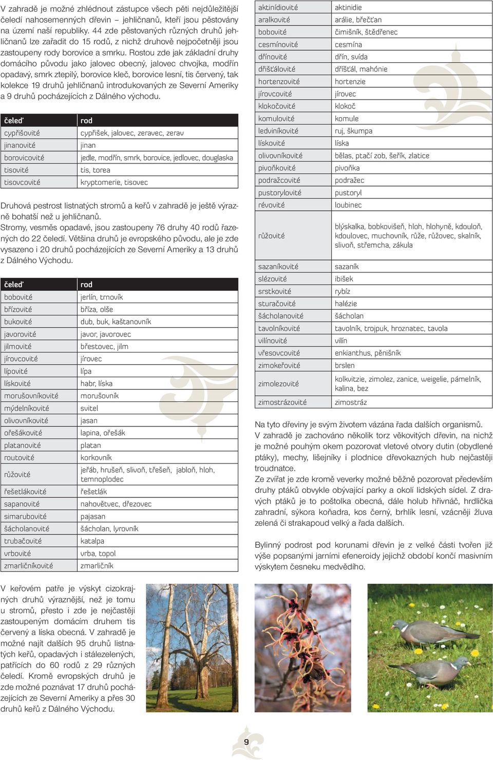 Rostou zde jak základní druhy domácího původu jako jalovec obecný, jalovec chvojka, modřín opadavý, smrk ztepilý, borovice kleč, borovice lesní, tis červený, tak kolekce 19 druhů jehličnanů