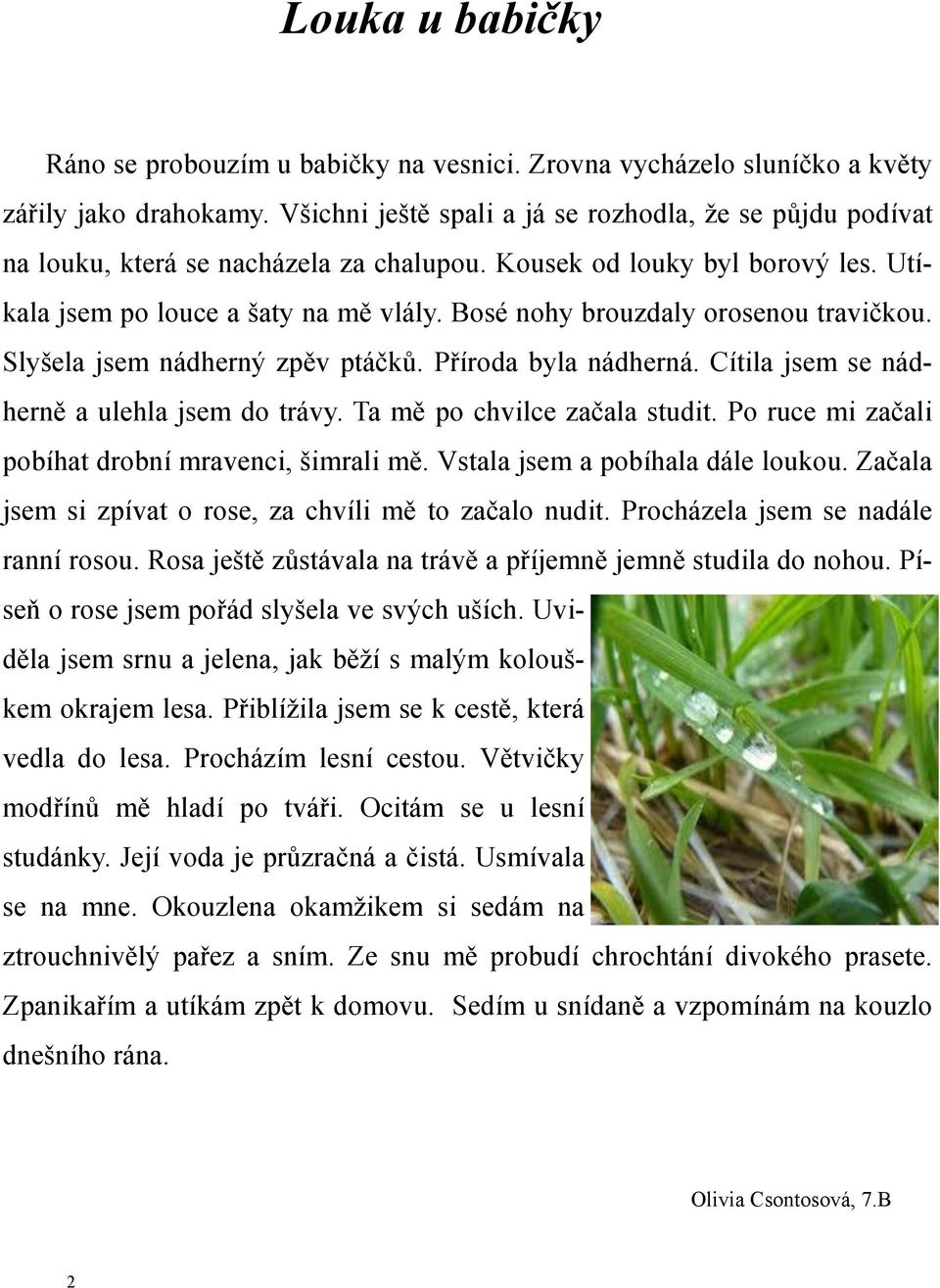 Bosé nohy brouzdaly orosenou travičkou. Slyšela jsem nádherný zpěv ptáčků. Příroda byla nádherná. Cítila jsem se nádherně a ulehla jsem do trávy. Ta mě po chvilce začala studit.